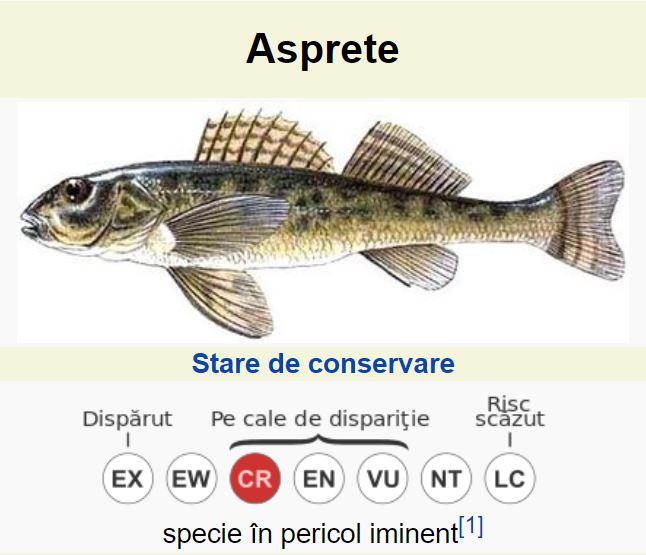 Aspretele, Foto: wikipedia