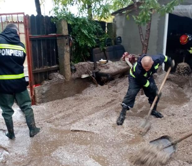 grindina, Foto: IGSU