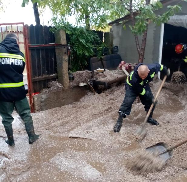 grindina, Foto: IGSU