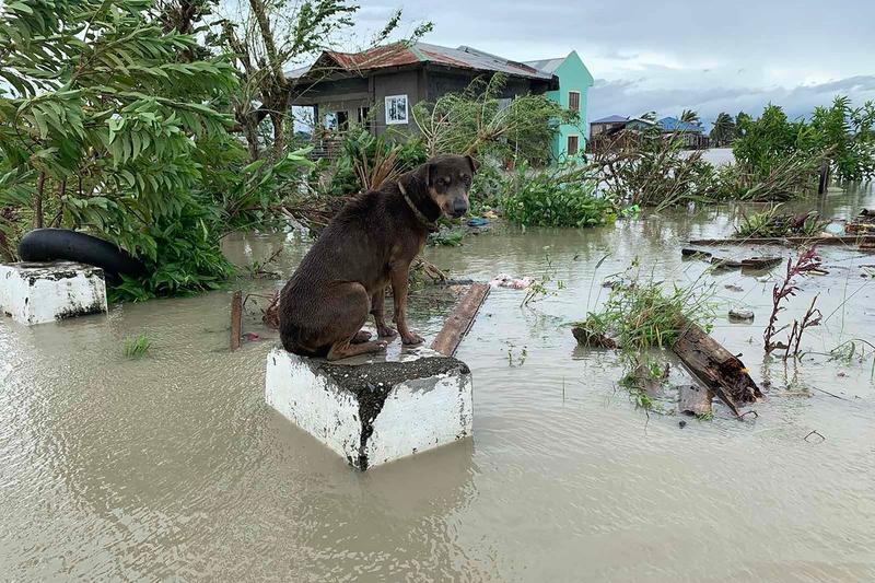 Dezastru provocat de taifunul Molave, Foto: Erik DE CASTRO / AFP / Profimedia