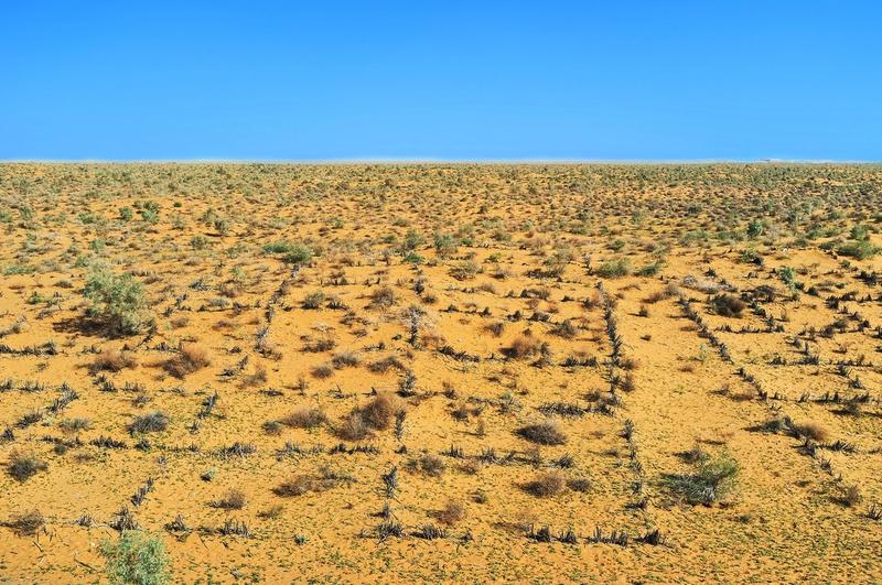 Teren arid, Foto: eFesenko / Alamy / Profimedia Images