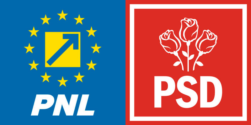 PNL-PSD, Foto: Colaj foto