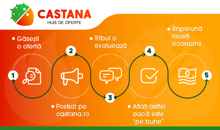 Cum funcționează Castana.ro?, Foto: Castana.ro