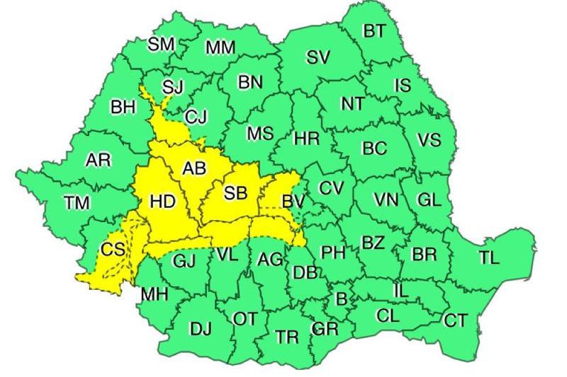 Cod galben de ninsori, Foto: ANM