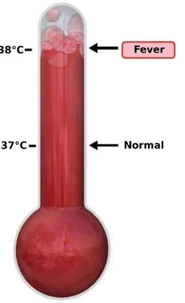 O imagine clasică, Foto: Wikipedia