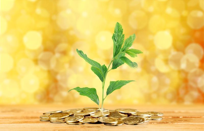 Investitii (Oleg Dudko, via Dreamstime.com), Foto: Dreamstime.com