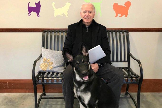 Joe Biden si cainele sau (sursa foto: twitter), Foto: Hotnews