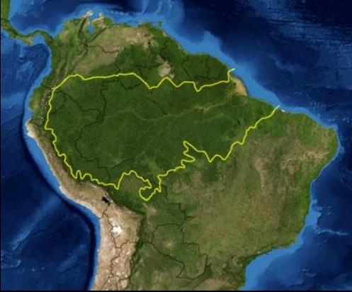 Ecoregiunea Amazoniei, Foto: Wikipedia