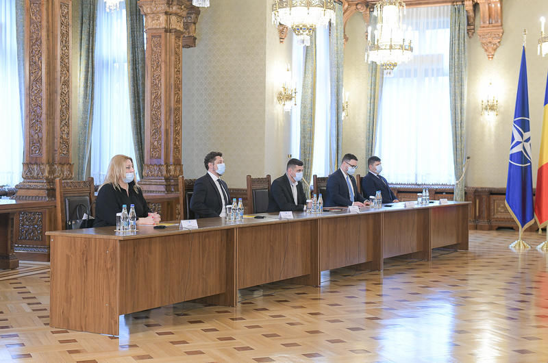 Diana Sosoaca, la consultari, Foto: Presidency.ro