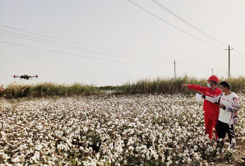 Campuri de bumbac, Foto: Costfoto / ddp USA / Profimedia