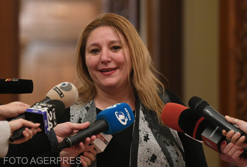 Diana Sosoaca, Foto: Agerpres