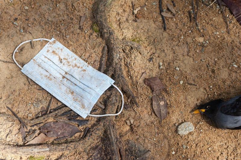 Deces COVID-19, Foto: Olaf Schuelke / Alamy / Profimedia Images