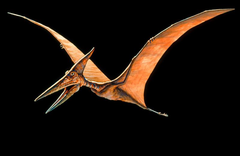 Reprezentare artistica a unui pterozaur, Foto: Joe Tucciarone / Sciencephoto / Profimedia Images