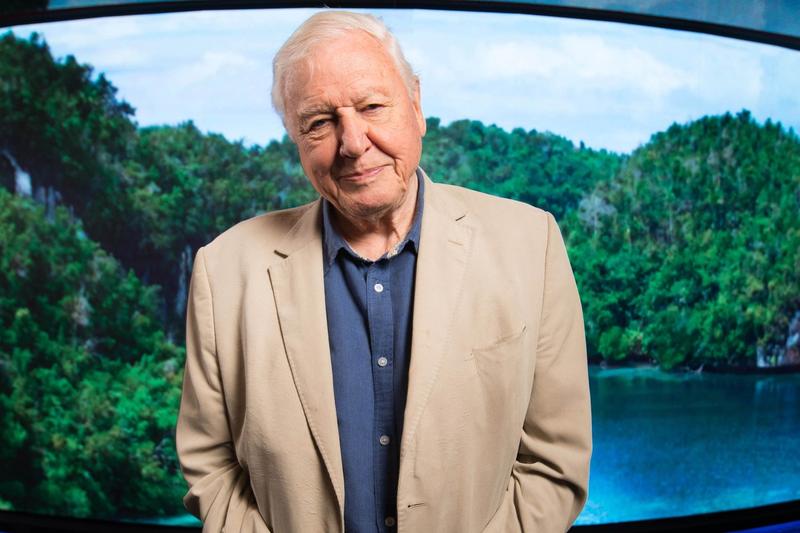 Sir David Attenborough, Foto: David Parry / PA Images / Profimedia