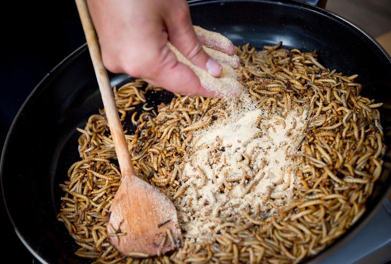 Viermele de faina, Foto: CTK / Alamy / Alamy / Profimedia