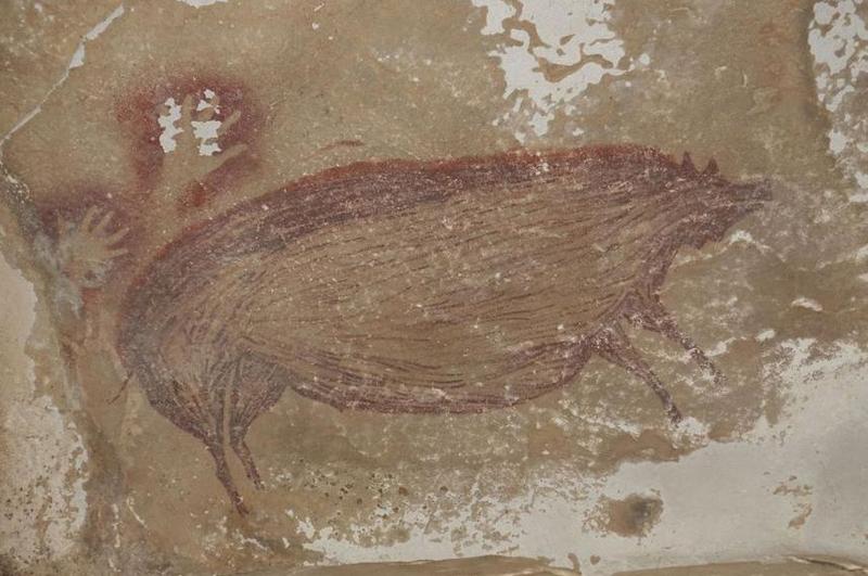 Un porc de acum 45.000 de ani, Foto: sciencemag.org