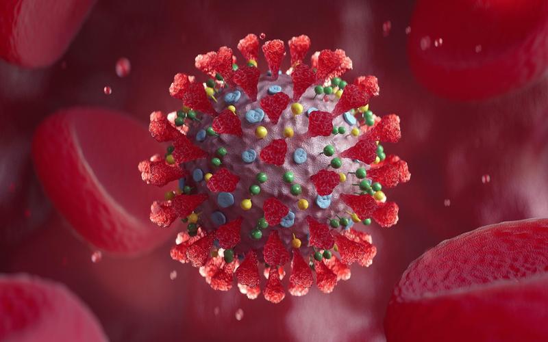 Coronavirus, Foto: Aleksey Nikolskyi/Kremlin Pool / Zuma Press / Profimedia