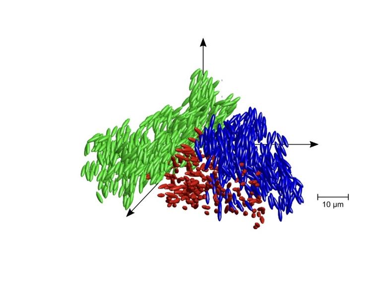 Particule elipsoidale grupate în sticlă lichidă, Foto: Universitatea Konstanz