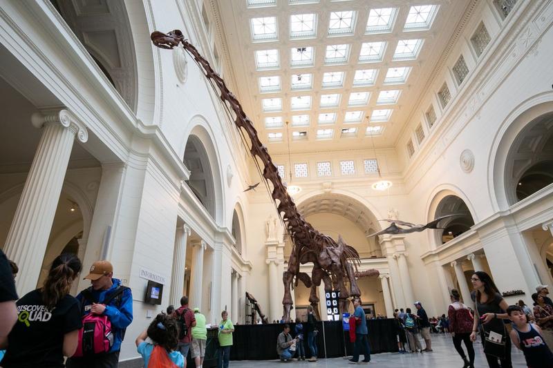 Schelet de titanozaur, Foto: Cmlndm, Dreamstime.com