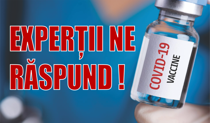 Expertii raspund, Foto: Hotnews