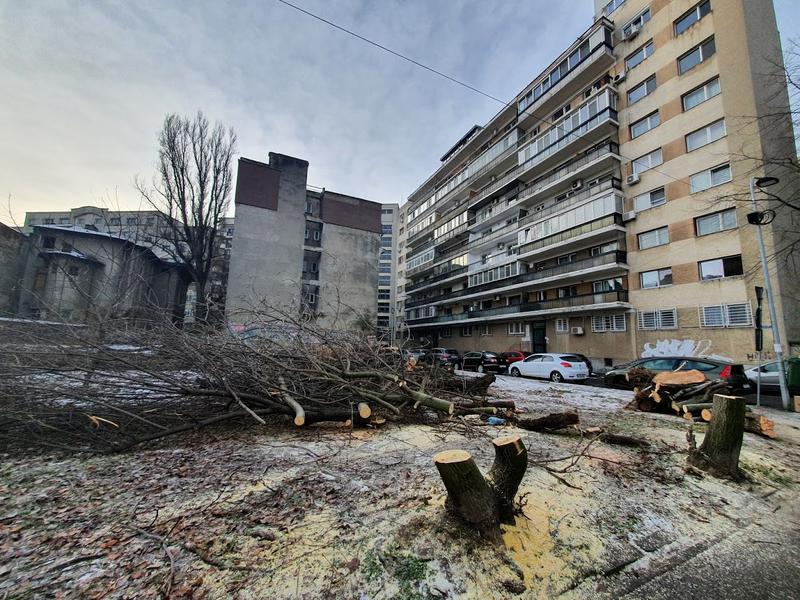 Defrisare Apolodor 9, Foto: Hotnews