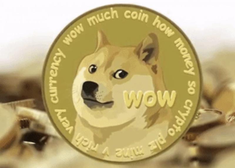 Dogecoin, Foto: Captura video
