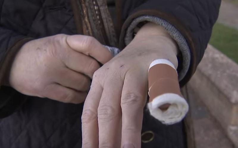 Atacul veveritelor din NY, Foto: youtube.com