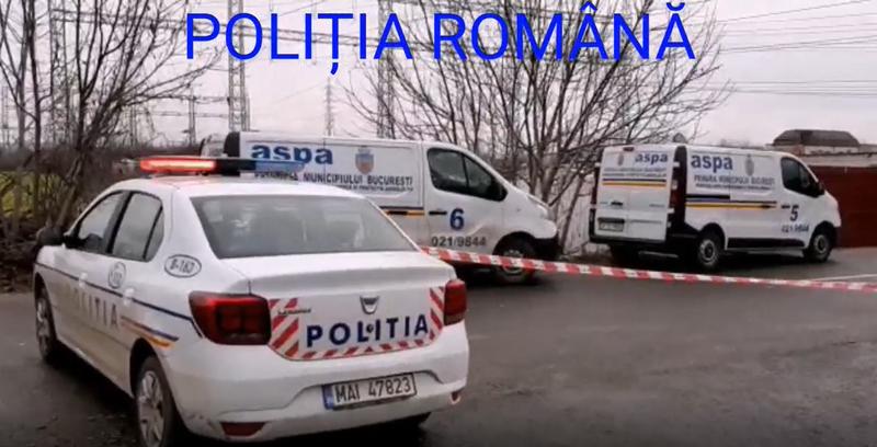 Adapost de caini improvizat, perchezitii politie, Foto: Captura video