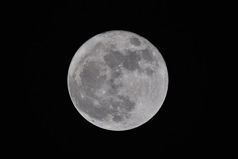 Luna, Foto: Petar Kremenarov, Dreamstime.com