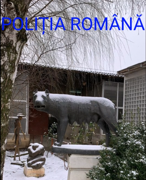 Lupoaica, Foto: Hotnews