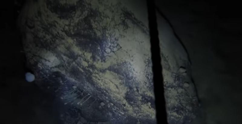 Creaturi stranii descoperite sub gheata din Antarctica, Foto: Captura YouTube