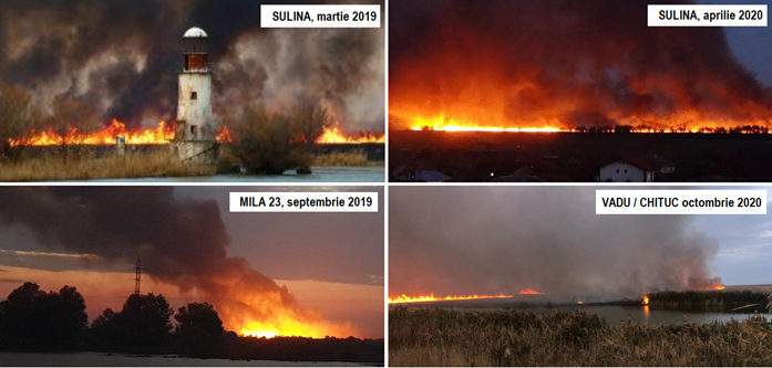 Mii de hectare arse anual in Deltă, Foto: Contributors.ro