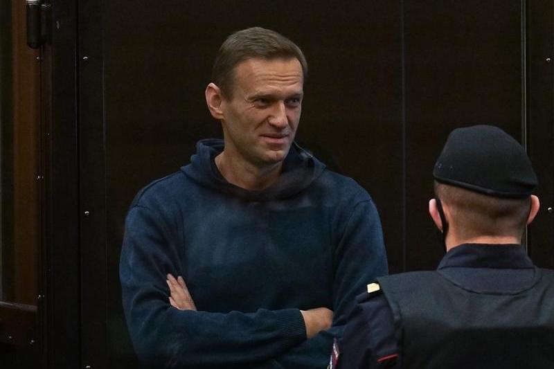 Alexei Navalnii la tribunal, Foto: - / Sputnik / Profimedia