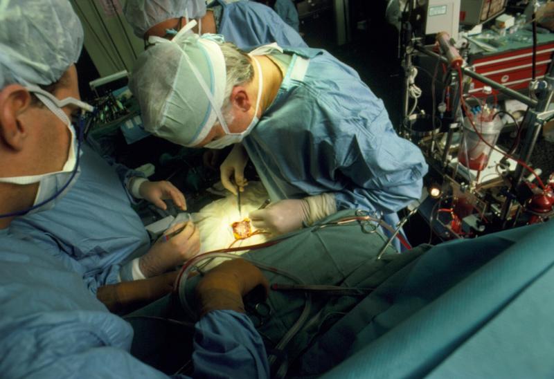 Transplant, Foto: Alexander Tsiaras / Sciencephoto / Profimedia Images