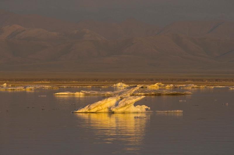Topirea ghetii arctice, Foto: Steven J. Kazlowski / Alamy / Profimedia Images