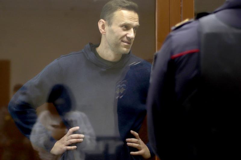 Alexei Navalnii, Foto: Babushkinsky District Court / TASS / Profimedia Images