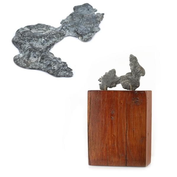 Le Crocodile - Constantin Brâncuși, Foto: Artmark