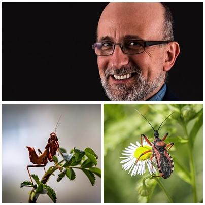 Adrian Ruicanescu si lumea insectelor, Foto: Hotnews