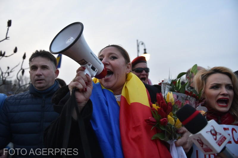 Diana Sosoaca la protest, Foto: Agerpres