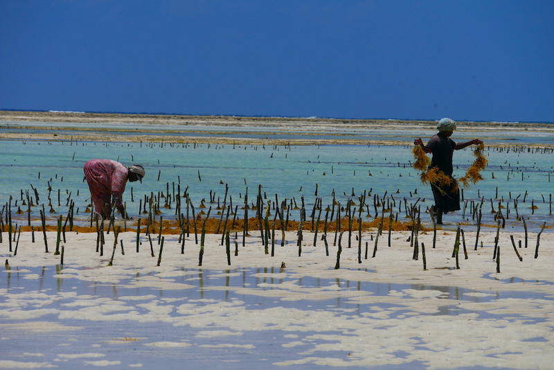 Femei din Zanzibar, Foto: TravelZoom.ro