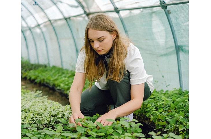 Fermier- femeie, Foto: Pexels