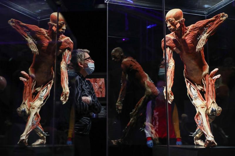 Expozitia Body Worlds, Foto: Anton Novoderezhkin / TASS / Profimedia Images
