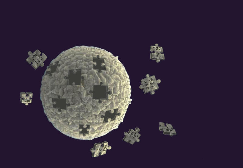 Organism unicelular sintetic - ilustratie, Foto: Emily Grace/NIST.gov