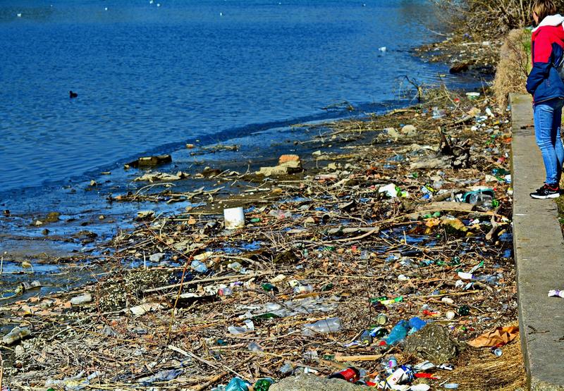 Plumbuita, Foto: Mihai Bursesc