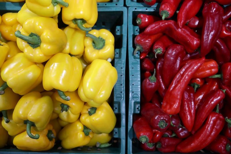 Ardei gras, Foto: Kirill Kukhmar / TASS / Profimedia