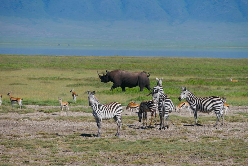 Craterul Ngorongoro/ Tanzania, Foto: TravelZoom.ro