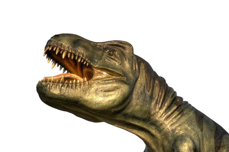 Tyrannosaurus rex, Foto: Patrik Winbjork, Dreamstime.com