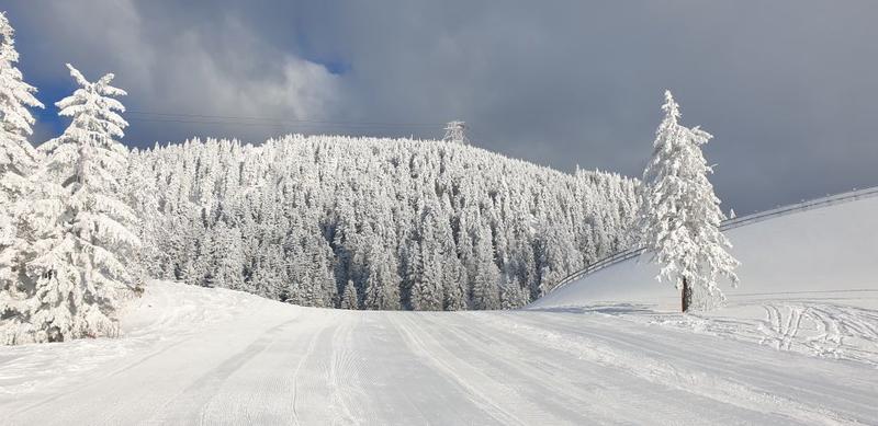 Poiana Brasov 16 aprilie 2021, Foto: L. Barza