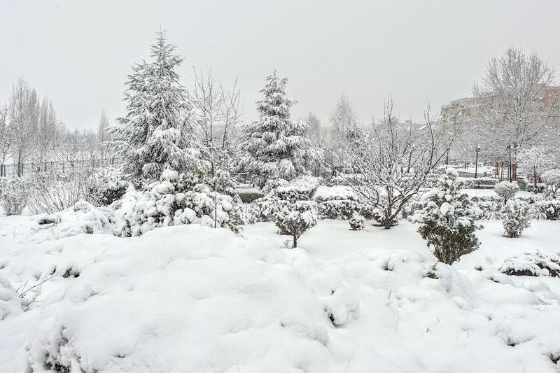 Ninsoare de primavara, Foto: Hotnews
