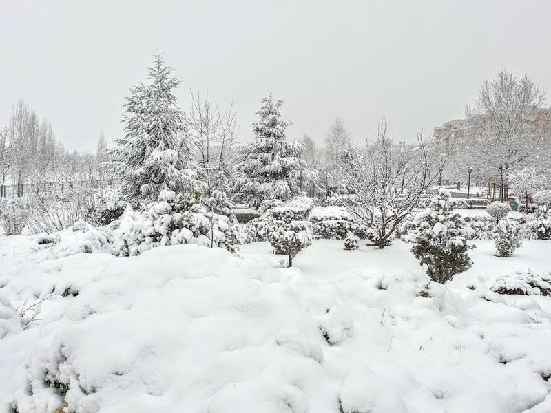 Ninsoare de primavara, Foto: Hotnews